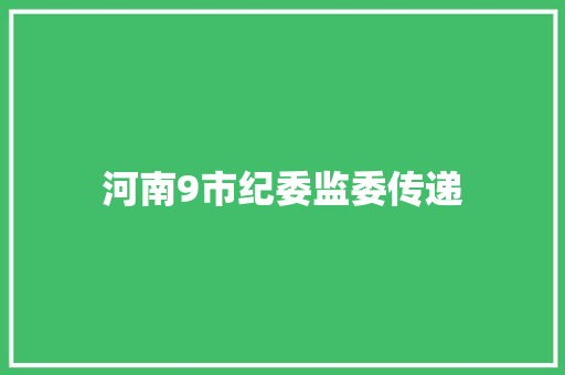 河南9市纪委监委传递