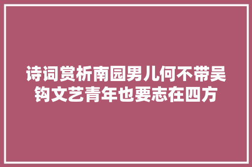 诗词赏析南园男儿何不带吴钩文艺青年也要志在四方