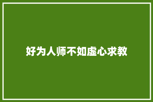 好为人师不如虚心求教