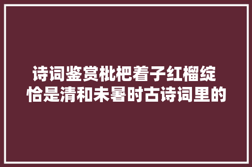 诗词鉴赏枇杷着子红榴绽 恰是清和未暑时古诗词里的枇杷