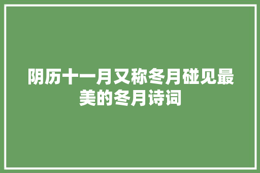 阴历十一月又称冬月碰见最美的冬月诗词