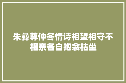 朱彝尊仲冬情诗相望相守不相亲各自抱衾枯坐