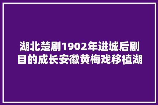 湖北楚剧1902年进城后剧目的成长安徽黄梅戏移植湖北楚剧剧目