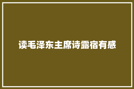 读毛泽东主席诗露宿有感