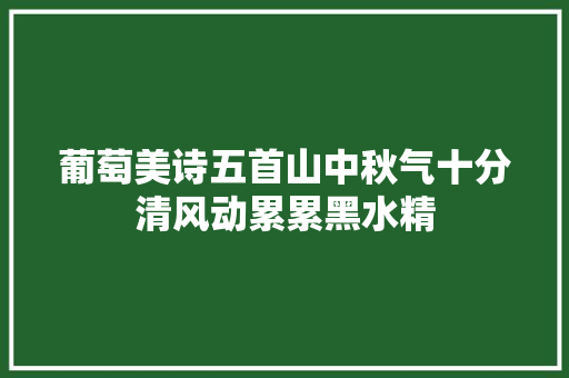 葡萄美诗五首山中秋气十分清风动累累黑水精