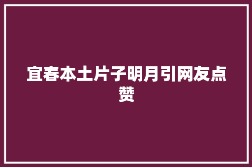 宜春本土片子明月引网友点赞