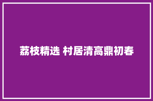 荔枝精选 村居清高鼎初春