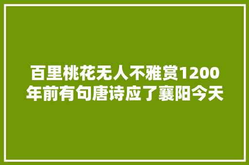 百里桃花无人不雅赏1200年前有句唐诗应了襄阳今天的景