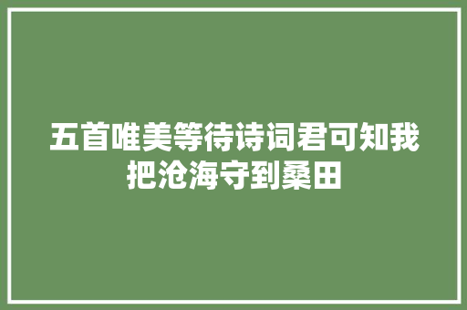 五首唯美等待诗词君可知我把沧海守到桑田