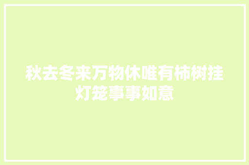 秋去冬来万物休唯有柿树挂灯笼事事如意