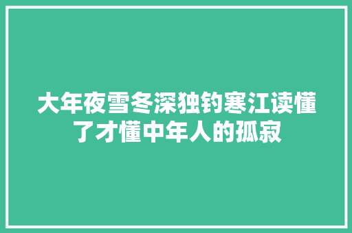 大年夜雪冬深独钓寒江读懂了才懂中年人的孤寂