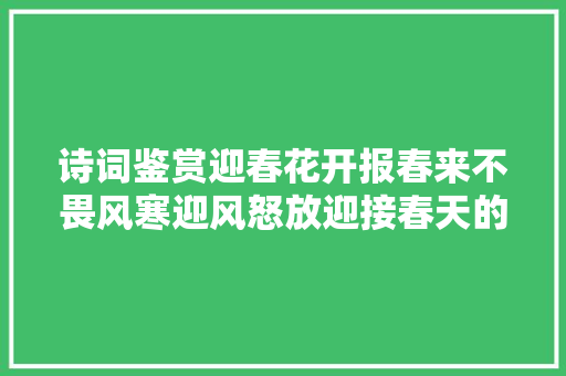 诗词鉴赏迎春花开报春来不畏风寒迎风怒放迎接春天的到来