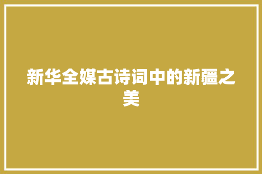 新华全媒古诗词中的新疆之美