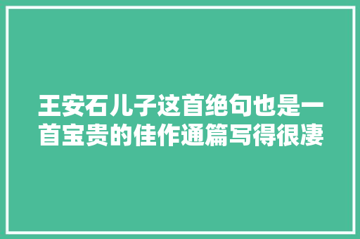 王安石儿子这首绝句也是一首宝贵的佳作通篇写得很凄美