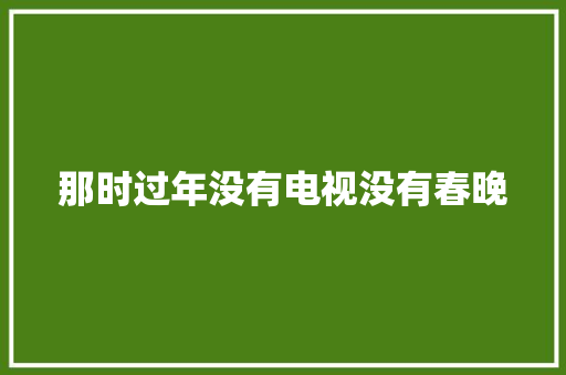 那时过年没有电视没有春晚