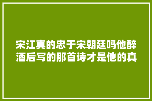 宋江真的忠于宋朝廷吗他醉酒后写的那首诗才是他的真实设法主张