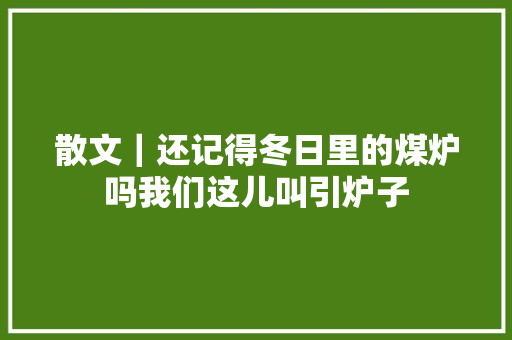 散文｜还记得冬日里的煤炉吗我们这儿叫引炉子