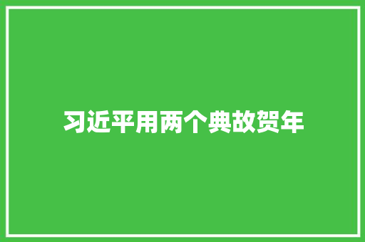 习近平用两个典故贺年