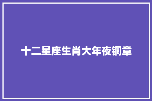 十二星座生肖大年夜铜章