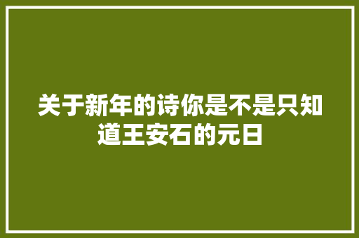 关于新年的诗你是不是只知道王安石的元日