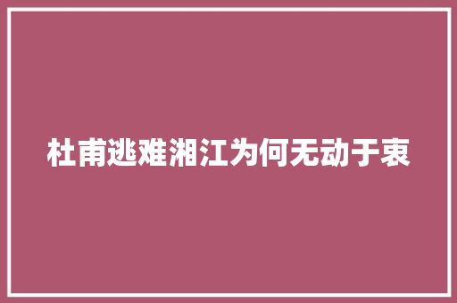 杜甫逃难湘江为何无动于衷