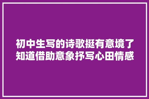 初中生写的诗歌挺有意境了知道借助意象抒写心田情感不错不错