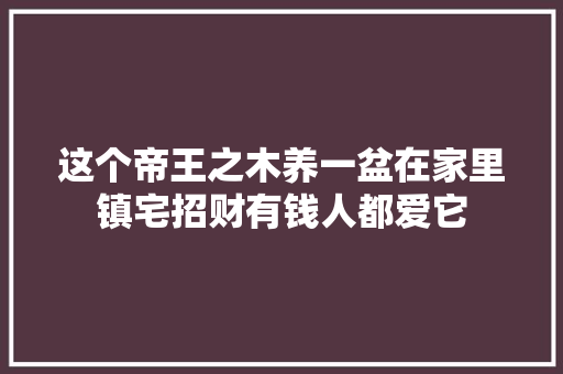 这个帝王之木养一盆在家里镇宅招财有钱人都爱它