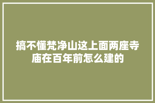 搞不懂梵净山这上面两座寺庙在百年前怎么建的