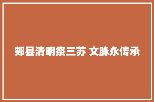 郏县清明祭三苏 文脉永传承