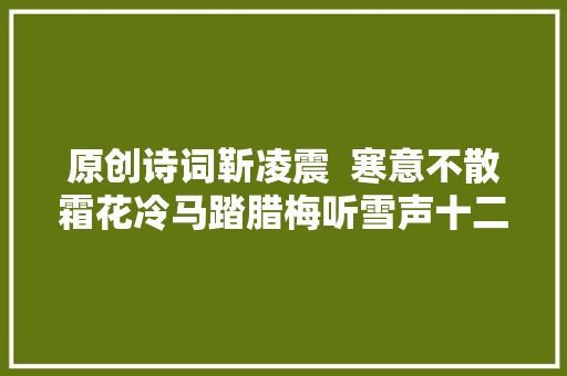 原创诗词靳凌震  寒意不散霜花冷马踏腊梅听雪声十二月诗词