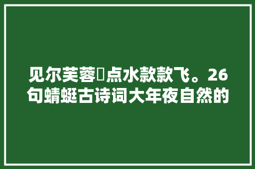 见尔芙蓉沜点水款款飞。26句蜻蜓古诗词大年夜自然的精灵美不胜收