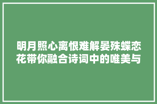 明月照心离恨难解晏殊蝶恋花带你融合诗词中的唯美与哀