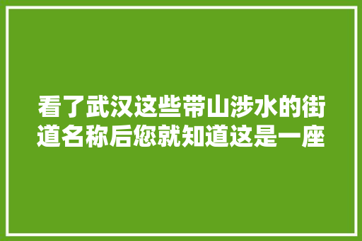 看了武汉这些带山涉水的街道名称后您就知道这是一座山水名城