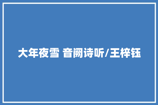 大年夜雪 音阙诗听/王梓钰