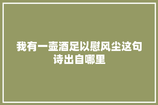 我有一壶酒足以慰风尘这句诗出自哪里