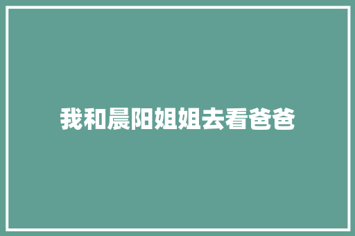 我和晨阳姐姐去看爸爸