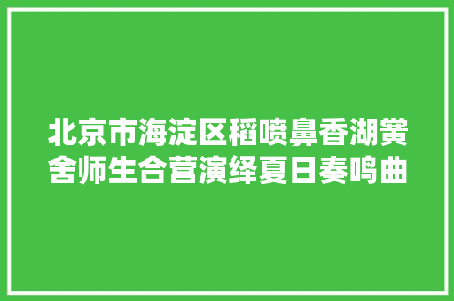 北京市海淀区稻喷鼻香湖黉舍师生合营演绎夏日奏鸣曲