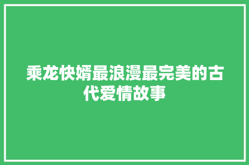 乘龙快婿最浪漫最完美的古代爱情故事