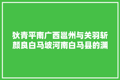 狄青平南广西邕州与关羽斩颜良白马坡河南白马县的渊源