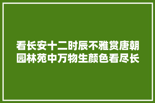 看长安十二时辰不雅赏唐朝园林苑中万物生颜色看尽长安牡丹花