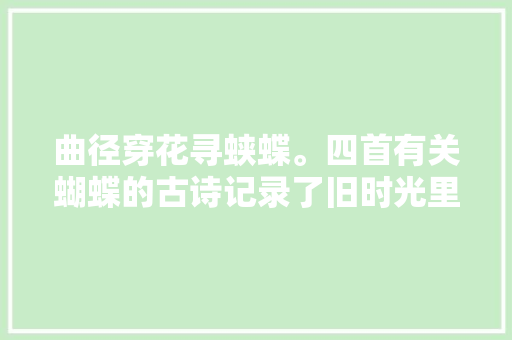 曲径穿花寻蛱蝶。四首有关蝴蝶的古诗记录了旧时光里的美好瞬间