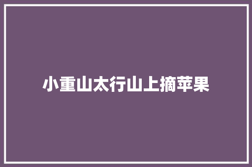 小重山太行山上摘苹果