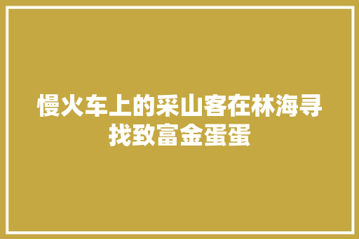 慢火车上的采山客在林海寻找致富金蛋蛋