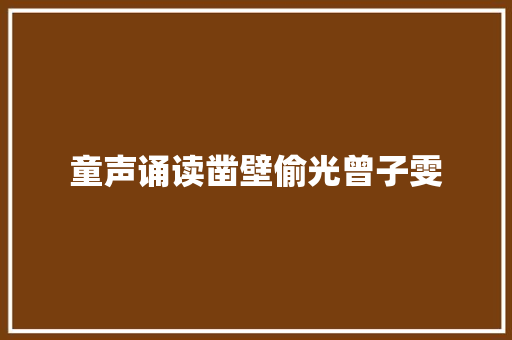 童声诵读凿壁偷光曾子雯