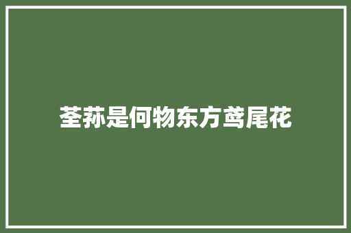 荃荪是何物东方鸢尾花