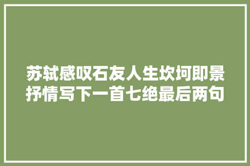 苏轼感叹石友人生坎坷即景抒情写下一首七绝最后两句千古流传