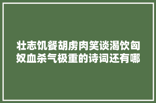 壮志饥餐胡虏肉笑谈渴饮匈奴血杀气极重的诗词还有哪些