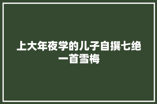 上大年夜学的儿子自撰七绝一首雪梅