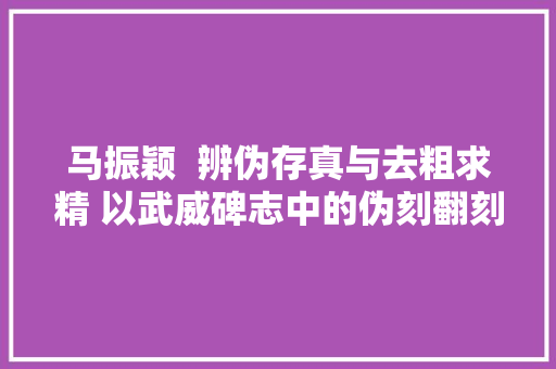 马振颖  辨伪存真与去粗求精 以武威碑志中的伪刻翻刻与精拓为例