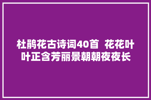 杜鹃花古诗词40首  花花叶叶正含芳丽景朝朝夜夜长